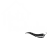 Inti Ruchulu restaurant logo